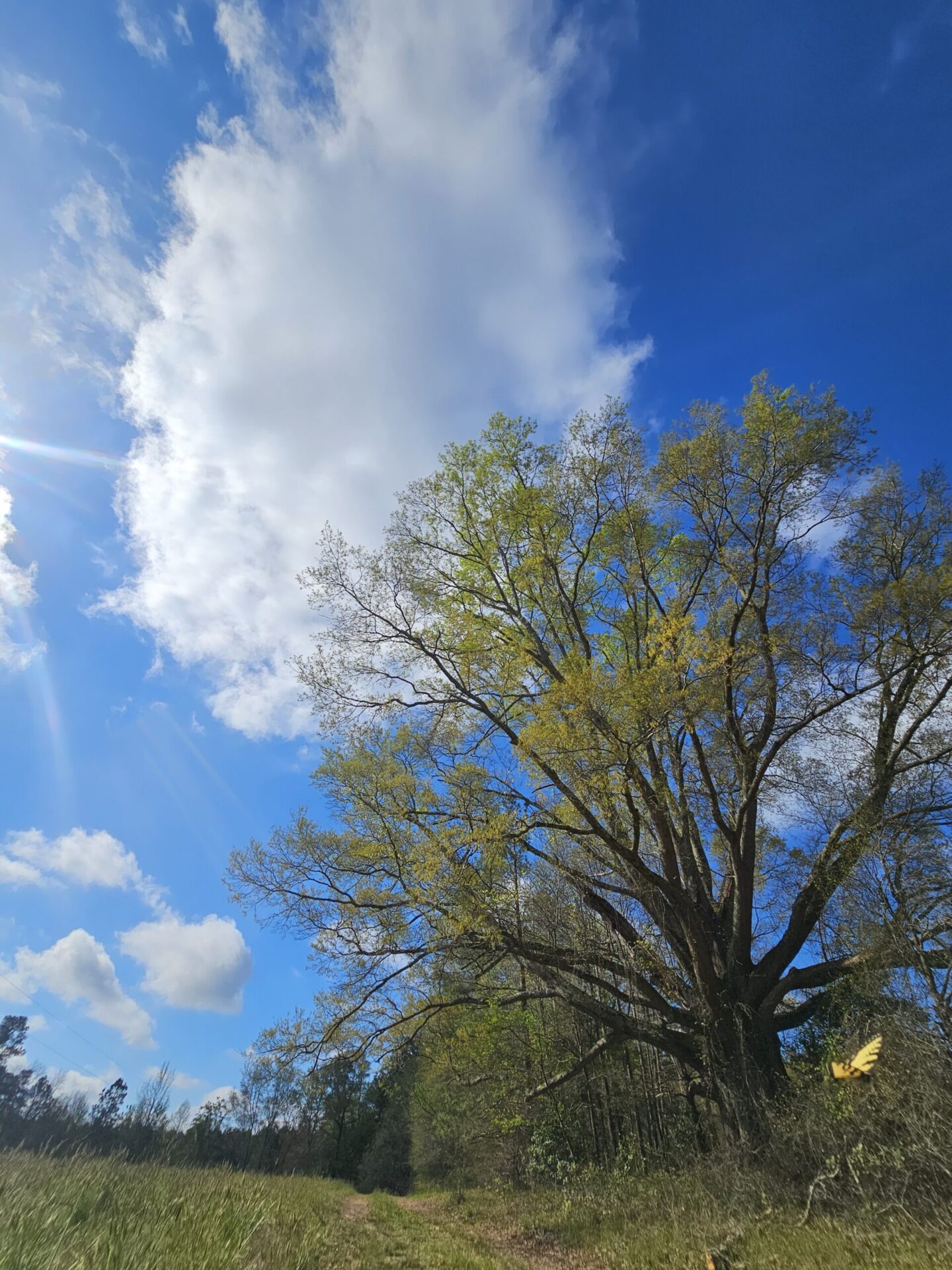The Bennu Center Awakening to spirit 3-day retreat